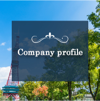 Company profile